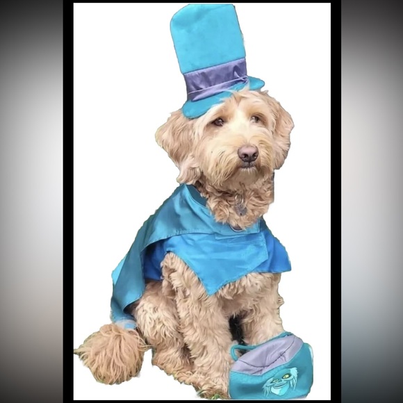 Disney Haunted Mansion Hatbox Ghost Pet Costume & Toy-Disney Tails Halloween NEW - Picture 10 of 10